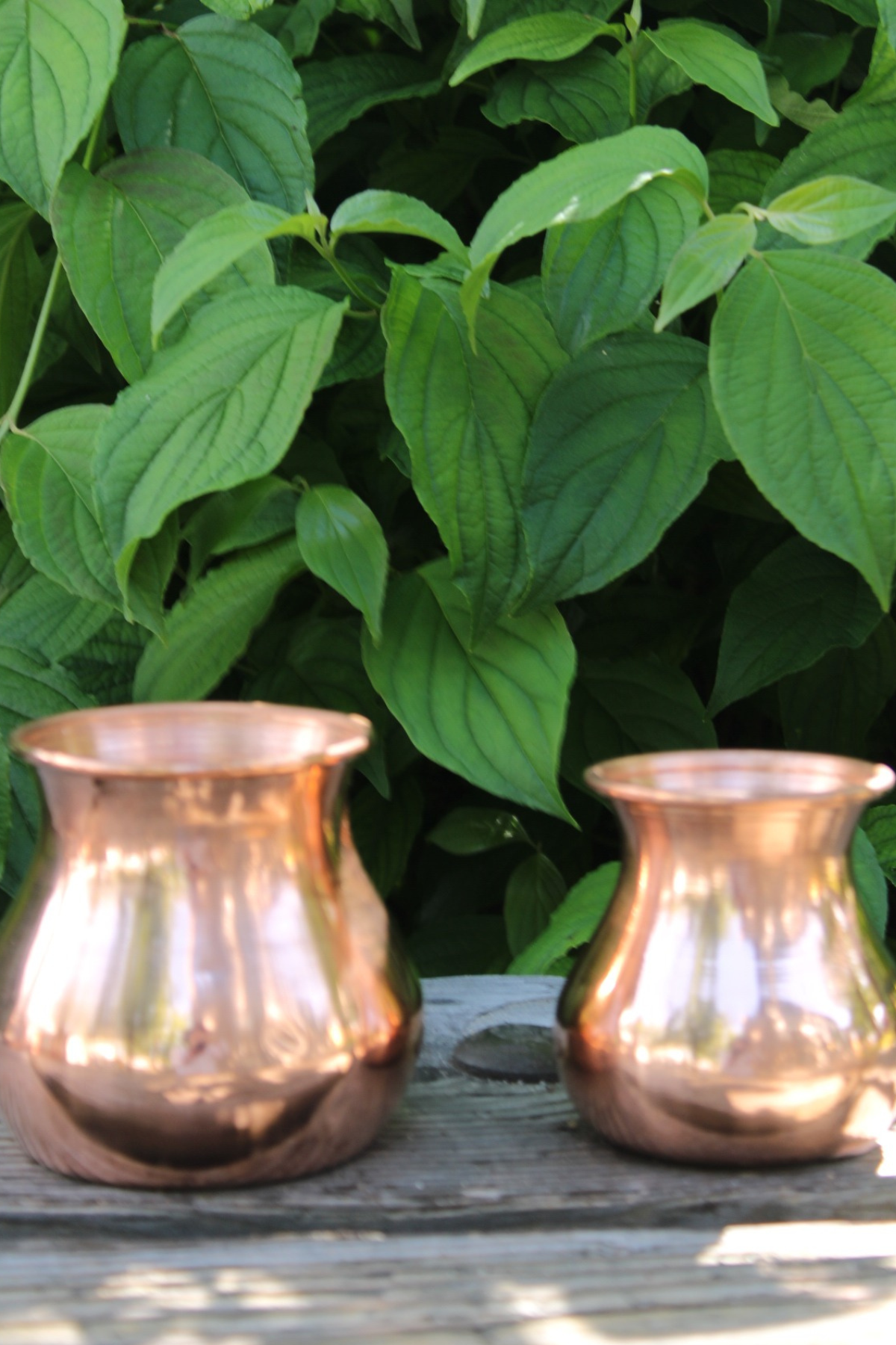 Antique Copper Water Cup