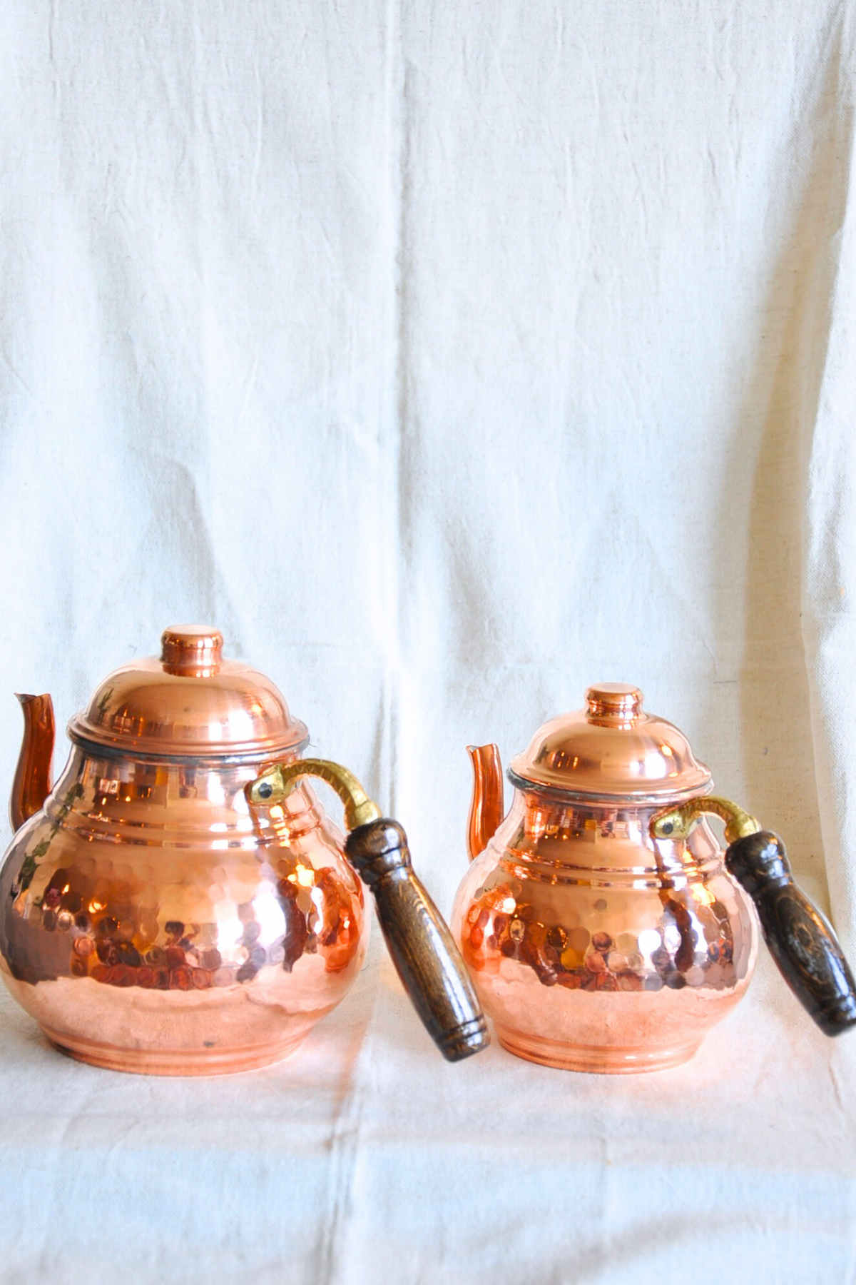 Mystic Copper Tea Kettle-Bronze Colour